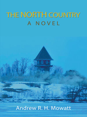 cover image of The North Country